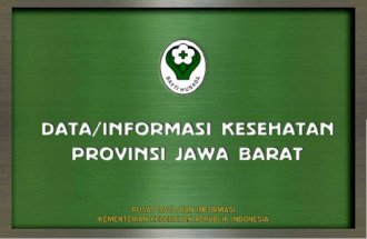 Profil Kesehatan Provinsi Jawa Barat 2011
