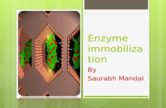 enzyme immobilisation