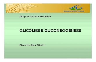 Glicolise e Gliconeogenese