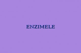 ENZIMELE 1