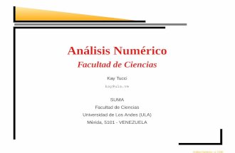 Analisis Numerico Universidad de Venezuela - Kay Tucci