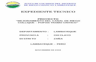 Expediente-Canales.pdf