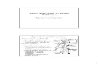 Organos hematopoyeticos y linfoides_I.pdf