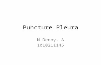 Puncture Pleura