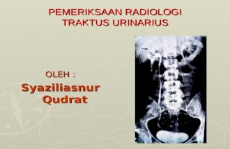 radiologi traktus urinarius