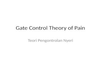 Gate Control Theory of Pain