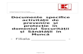 Documente Ssm Cumulate 2011