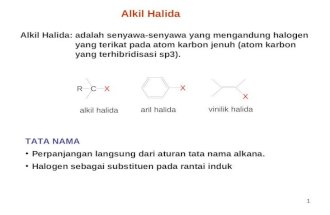 alkil-halida
