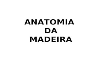 Aula de Anatomia de Madeira