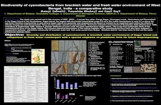 Biodiversity of Cyanobacteria from brackish water and fresh water environment