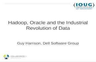 Hadoop, Oracle and the big data revolution collaborate 2013