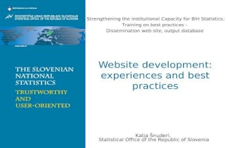 Dissemination: Statistical websites