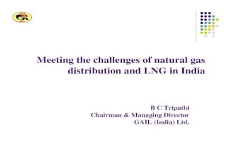 Mr tripathi's presentation slides from the 2010 World National Oil Companies Congress