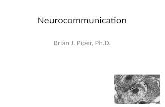 Neuropharmacology: Neurotransmission