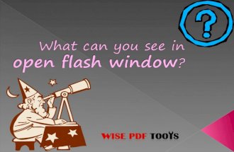 What can you see in open flash window