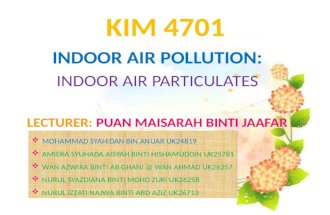 Indoor Air Particulate Matter