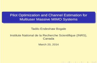 Pilot Optimization and Channel Estimation for Multiuser Massive MIMO Systems