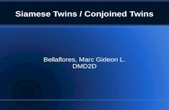 13. bellaflores   siamese twins