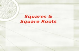 Perfect squares & square roots   lesson 12