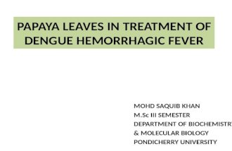 Treatment of dengue by papaya leaves