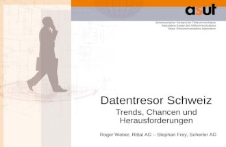 Datentresor Schweiz und Schlussfolgerungen, volkswirtschaftliche Effekte und Trends
