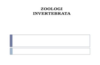 Zoologi invert new