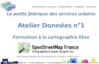 Montpellier Territoire Numérique et l'Open Data