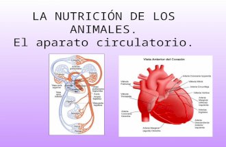 5 la nutrición en los animales, el aparato circulatorio
