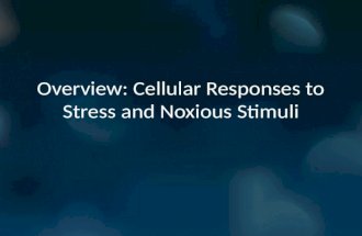 Cellular responses to stress and noxious stimuli