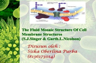 The fluid mosaic structure of cell membrane structures