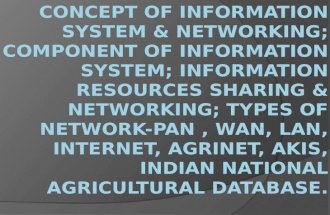 Concept of information system & networking..