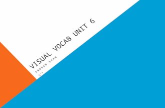Visual vocab unit 6