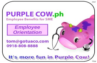 Purple cow eb for sme   2012 (employee orientation)