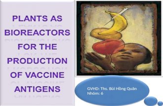 Vavccine thực vật nhóm 6