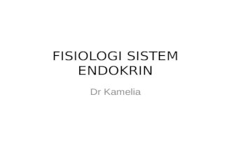 Fisiologi sistem endokrin