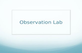 Observation lab