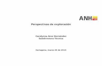 Carolina arce (anh)  perspectivas de exploración