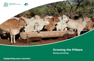 Pilbara Pulse 2014 - WA Department of Food and Agriculture - Rob Delane