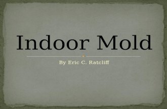 Indoor mold
