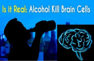Is it Real: Alcohol Kill Brain Cells