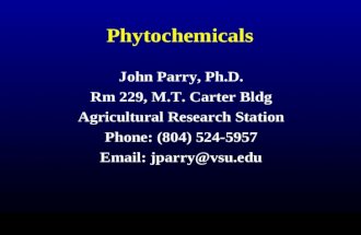 Antioxidants and phytochemical talk  05 07-11