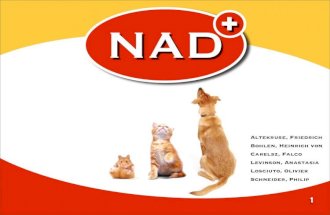 Brand Management Presentation - NAD+