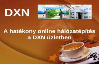 Hatekony online hálózatépités a DXN üzletben