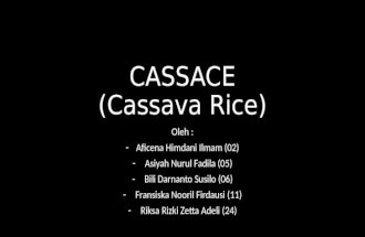 Kimia Terapan - Cassace (Cassava Rice/Nasi Singkong)