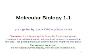 Molecular Biology 1-1
