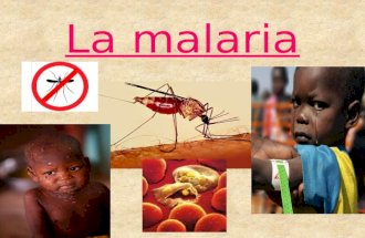 La malaria. Paula Sánchez Gálvez