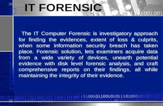 It security forensic