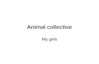 Animal Collective My Girls