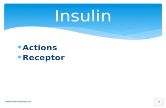 Insulin Actions and  Receptors