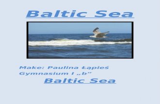 The Baltic Sea by Paulina